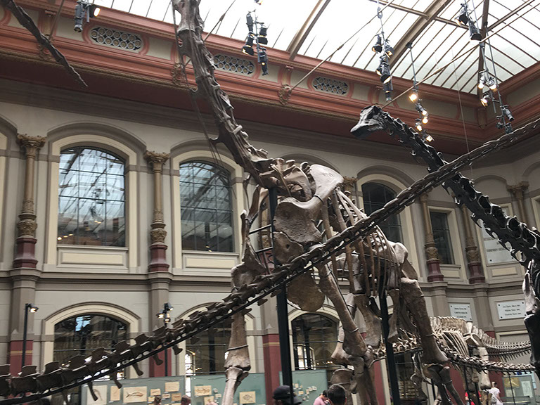 As a fixer and local producer, Lars von Lennep is taking care for filming permissions. 