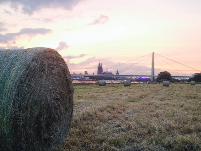 As a fixer and local producer, Lars von Lennep is taking care for additional crew and kit booking